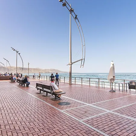 For The Digital Nomads Next To The لاس بالماس دي غران كاناريا